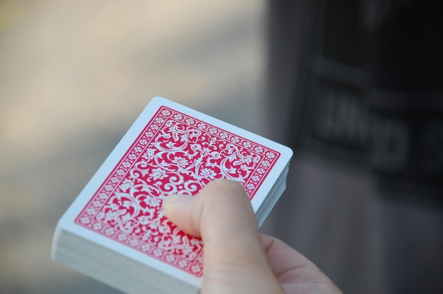 百家樂注區賠率<br>與勝率深度分析